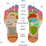 Therapeutic_Massage_Soles-_PRODUCT_0002_Thai-foot-massage.jpg
