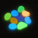 cvc-1.png