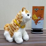 qq1-1.jpg
